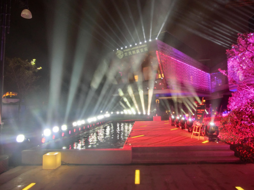 绚丽多彩的灯光秀 (4)